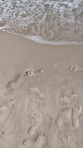 TheBackpackKid on TikTok