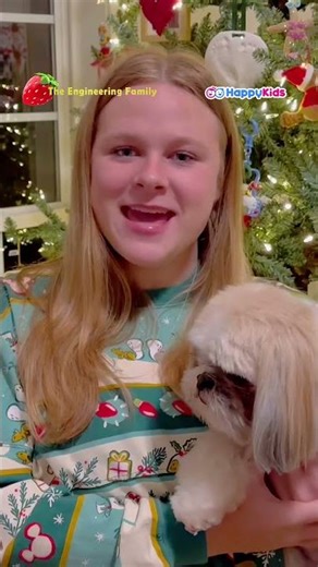 The Engineering Family share their Christmas Shananigans| Holidays at HappyKids