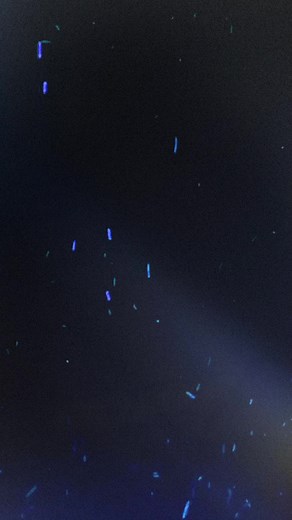 MIGUEL_COMANDO_OFFICIAL on TikTok