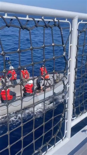One of the exercises conducted during the Philippine-US-Japan multilateral maritime cooperative activity was the personnel exchange, where participating ships launched their rigid hull inflatable boats (RHIBs) to transfer their personnel to another country’s vessel. | via Bianca Dava, ABS-CBN News | ABS-CBN News