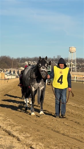Happy retirement, Post Time! 🥹 The 5-year-old multiple graded stakes winner ends his career on a high note with a 1 1/4 lengths victory in Saturday’s Robert T. Manfuso Stakes at Laurel Park 🏅 From 23 career starts…Post Time retires with a record of 13 wins, four seconds and five thirds, earning a total of $1,558,705 💰 Trained by Brittany Russell, the well-traveled Maryland-bred has won nine stakes, highlighted by the 2024 GIII General George and 2024 GII Carter Stakes. Post Time is three-time