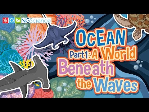 OCEAN – Part 1: A World Beneath the Waves