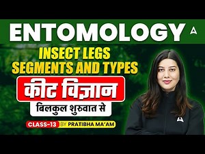 Entomology Insect legs- Segments and types | कीट विज्ञान बिलकुल शुरुवात से Class 13 | By Pratibha