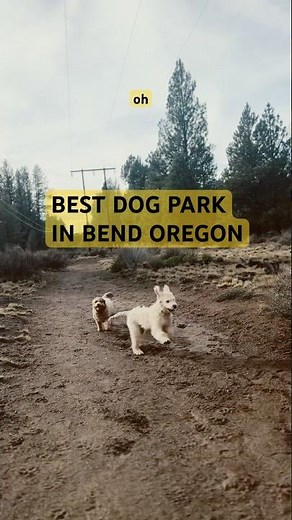 two best dog parks in Bend Oregon 🐶 both are off leash