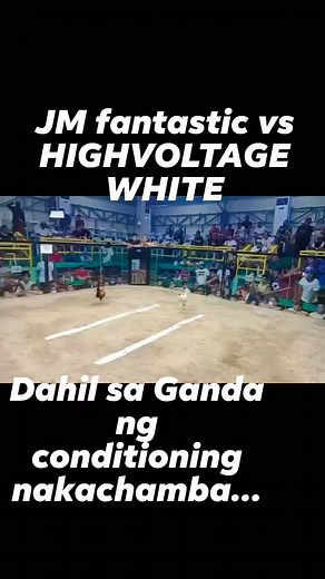 21K views · 402 reactions | HIV WHITE | Jadecast Highvoltage GF | Facebook