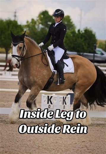 Mastering Inside Leg to Outside Rein with Your Gypsy Vanner