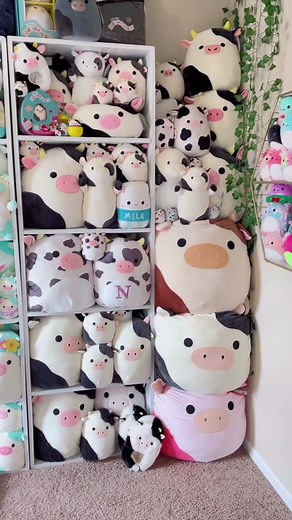 Cow Squishmallow Collection Lifestyle