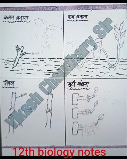 12th biology notes chapter 1 ❤️😍❤️