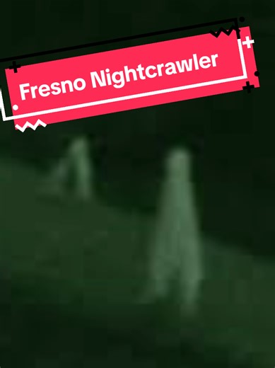 The Fresno Nightcrawler. Is it an animal, a cryptid, a piece of fabric, or an elaborate hoax? Tell me what you think in the comments!! Full Video link in description. #theories #unsolvedmysteries #paranormal #unexplained #cryptid