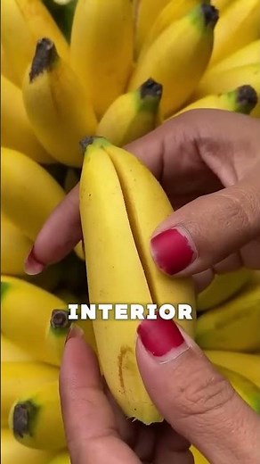 ¡Estos frutos silvestres únicos te dejarán sin palabras! 🤯