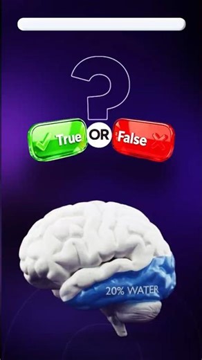 Is Your Brain Dry? #brain #water #dry