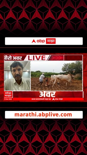 32K views · 249 reactions | Zero Hour Omraje Nimbalkar : शेतकऱ्यांकडे बघण्यांचा सरकारचा दृष्टिकोन असंवेदनशील #zerohour #OmrajeNimbalkar #abpmajhalive #farmerhelp | ABP Majha | Facebook