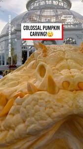 This has to be the best carved pumpkin ever! 😳 | Memezar