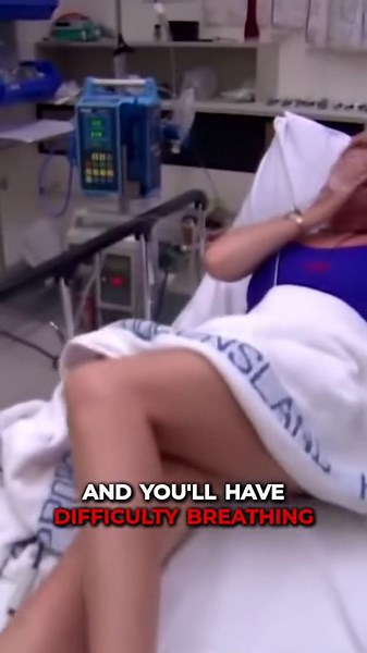 Box Jellyfish: The Ocean's Most Deadly Creatures