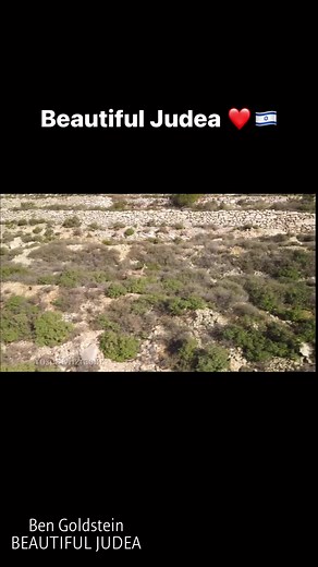 1.8K reactions · 329 shares | Beautiful Judea  Shabbat Shalom | Ben Goldstein | Facebook