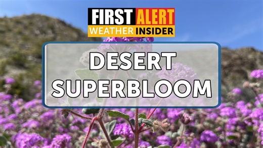Weather Insider: Desert superblooms explained