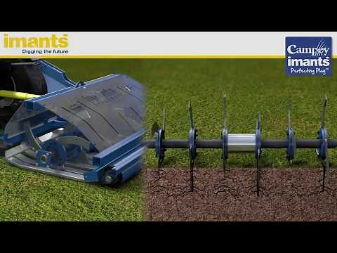 IMANTS Shockwave animation (the function of)