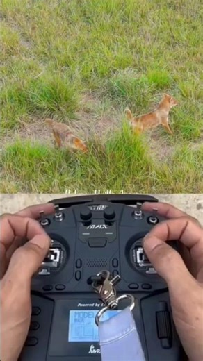 Drone Prank In Village Funny 🤣 || Drone Prank Gone Wrong 🤣 || #shorts #drone #prank #funny