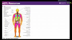 CGM第七十三期 祁婷博士 《整合多组学数据解析人类复杂性状和疾病的遗传机制》