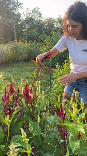 bloomhouse__ on TikTok