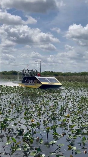 Airboat speed trail fun on an Everglades tour at Everglades Holiday Park
