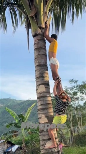 She PULLED His Pants Down While He Was Climbing! 😱🌴 #Shorts #Prank