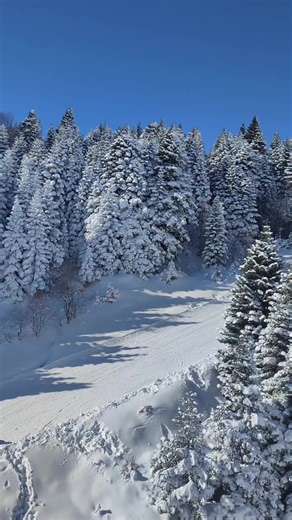 Uludağ Kayak Sezonu Başladı!