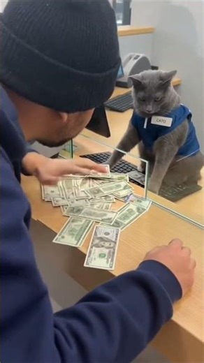Cat Cashier Gives Customer Extra Money - Generous Mistake! 🐱💰😹