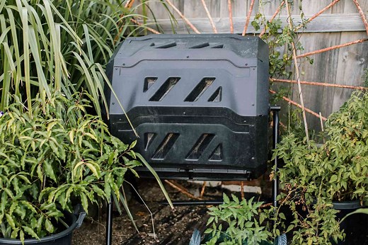 Everything You Need to Know About Composting to Go Green in 2024