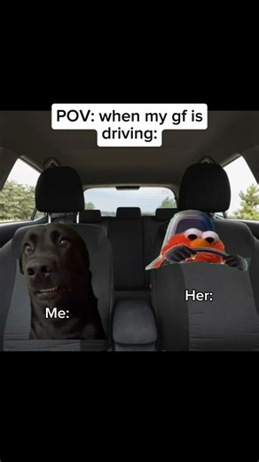 RightNowCats on TikTok