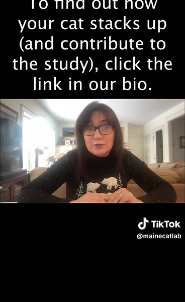 Cat Intelligence Study: Tuxedo Cats Have Highest IQ