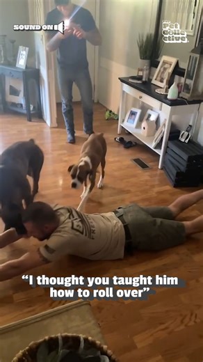 Dad...you gotta work on that roll 😂💥 #Dogs #Funny #Workout #Fails | The Pet Collective