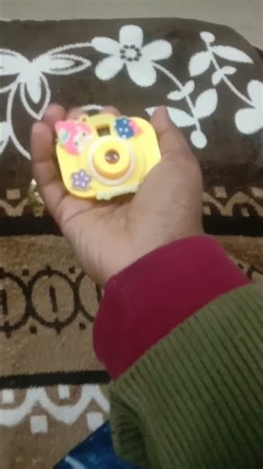 camera project price 300 rs