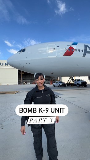 84K views · 1.3K reactions | Check out Bomb K-9 Unit Part 3⬇️ Start the hiring process at JoinLAPD.com Remember to Share, Save, and Follow Us. Thanks #joinlapd #careergoals #hiringevents #lapd #hiringnow #k9dogs #k9 #k9unit | Join LAPD | Facebook