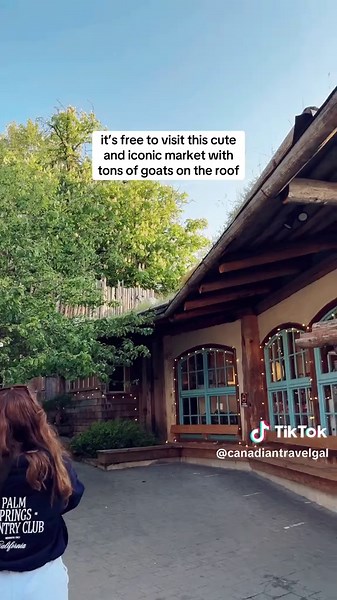 POV: You’re road tripping through BC and suddenly there’s goats on a roof 🐐 This hidden gem on Vancouver Island is totally free to visit and the local market is packed with delicious food, cute souvenirs, fresh baked goods, and more. Have you been to Goats on the Roof in Coombs, BC? #vancouverisland #vancouverislandbc #goatsontheroof #coombs #explorebc #britishcolumbia #creatorsearchinsights
