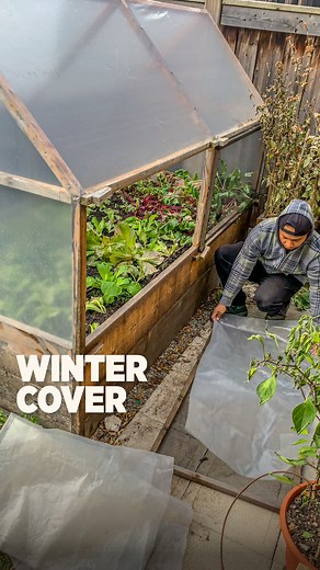 129K views · 1.7K reactions | When you can quickly go from hot summer garden bed to cold winter protected bed, it makes a difference because you can extend a short growing season and harvest more food. #containergarden #gardenideas #gardenbed #gardeningtips | Plantedinthegarden | Facebook