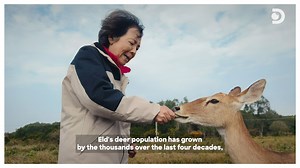 153K views · 626 reactions | Watch how China takes a huge step in protecting its bio-diversity hotspots to save endangered species, enriching the country's flora and fauna. Join MediaTek and Discovery in "Chasing Biodiversity: Hainan", Saturday 22nd April at 6:20 pm only on Discovery Channel India. #Discovery #MediaTek #MediaTekDimensity #MediaTekDimensity9200 #ChasingBiodiversity #DiscoveryChannelIn #DiscoveryChannelIndia #DiscoveryChannel | Discovery Channel India | Facebook