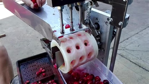 Homemade cherry pitter.