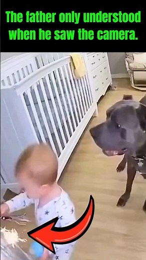 AMAZING TRUTH: Dog Saves Baby — Father Discovers the Truth on Camera