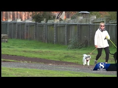 2 German Shepherds killed a small puppy in Seaside