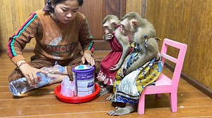 73K views · 2.8K reactions | Politely Sit JJ’s, As Obdient Grls Waiting For Xpensive Milk | The Judy Family | Facebook