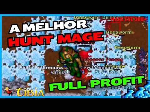 💥LEARN! Tibia: Hunt Mage lvl 300 SOLO 1kk/h PROFIT 🤑 (Complete Guide)