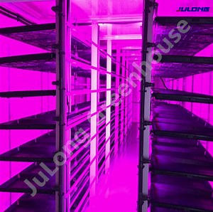 [Hot Item] 40FT Container Plant Factory for Fodder Farming