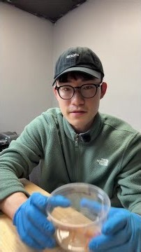 This Is Why a Gecko’s Pattern Changes as It Grows