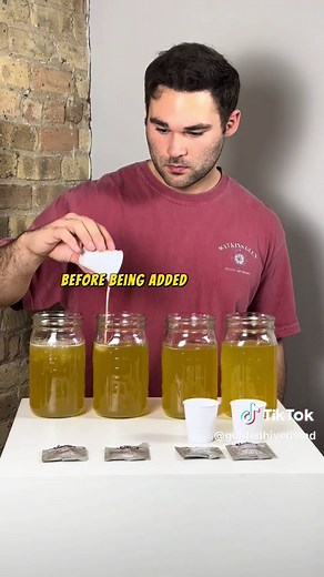 Meadbusters: Does yeast type matter? #mead #meadtok #homebrewing