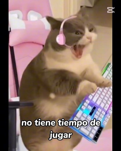 25 de diciembre de 2025