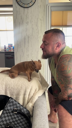 Hilda's Kisses: A Cute Compilation of Chihuahua Smooches