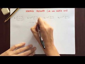 Matriz adjunta (de una matriz 3x3)