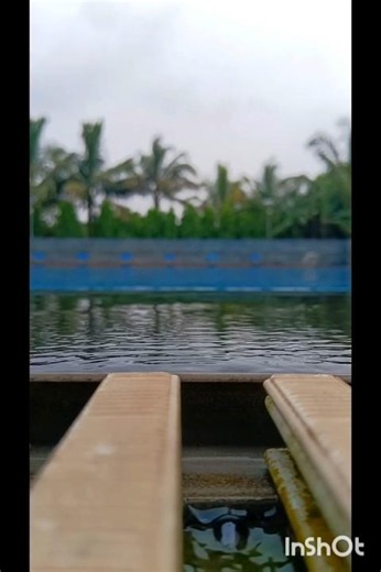 Beautiful Swimming Pool Cinematic View 💦
