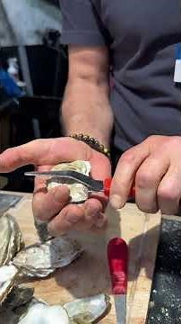 This oyster knife prevents injuries 🦪 (video made without compensation at the Paris Fair)